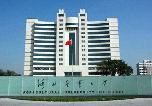 中国十大最强二本大学排名 深圳大学排行第一